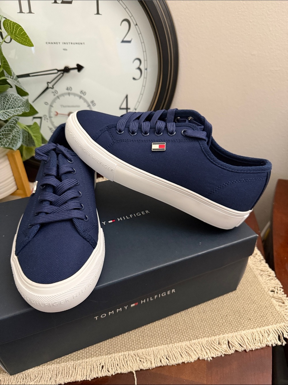 Tommy Hilfiger Navy and White Low-Top Canvas Sneakers